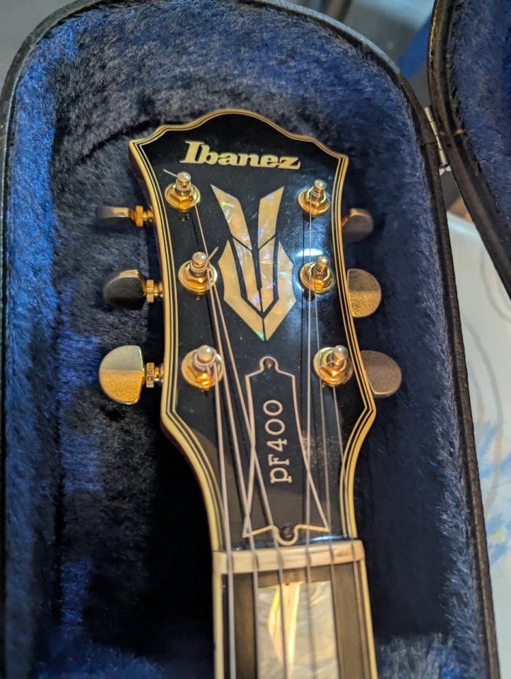 Ibanez PF400.(Cambio por SG)