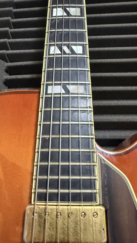 Guitarra D'Aquisto New Yorker '2008