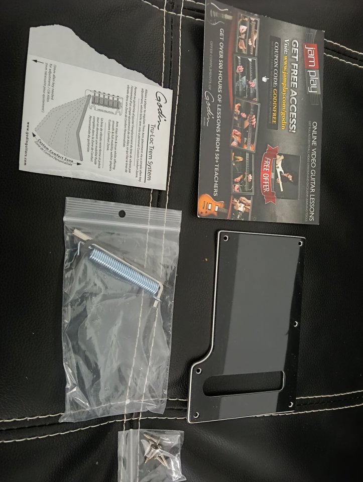 Godin Session T-Pro Ltd Kanyon Burst Mn