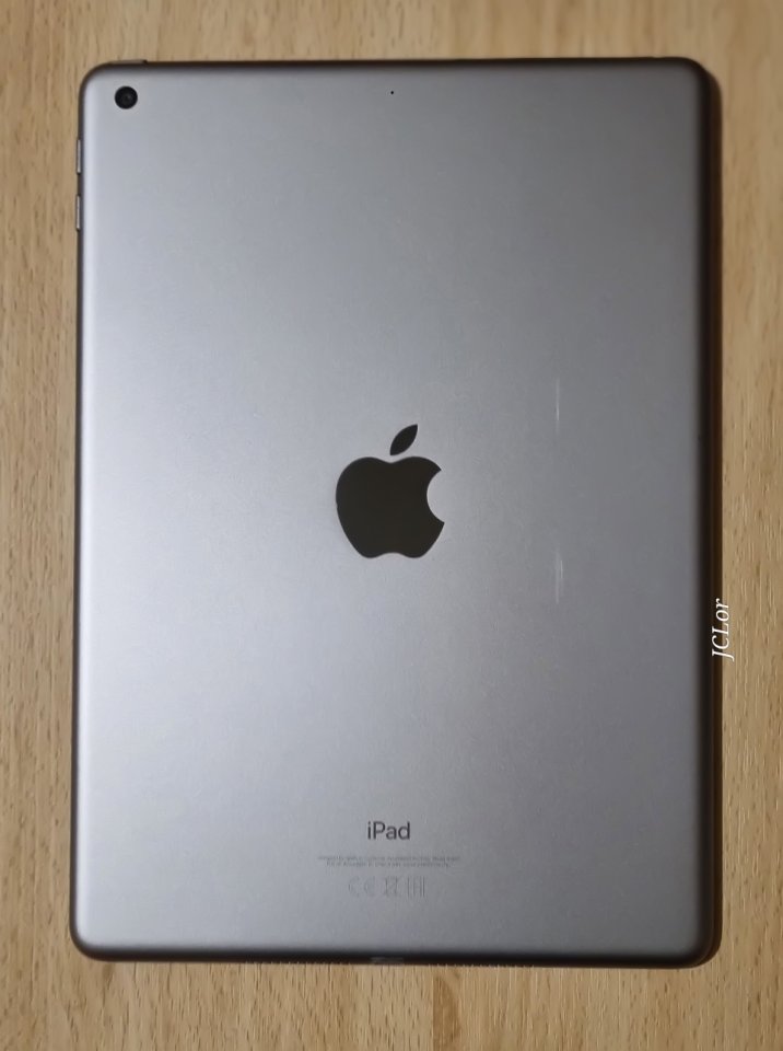 Apple iPad Plata