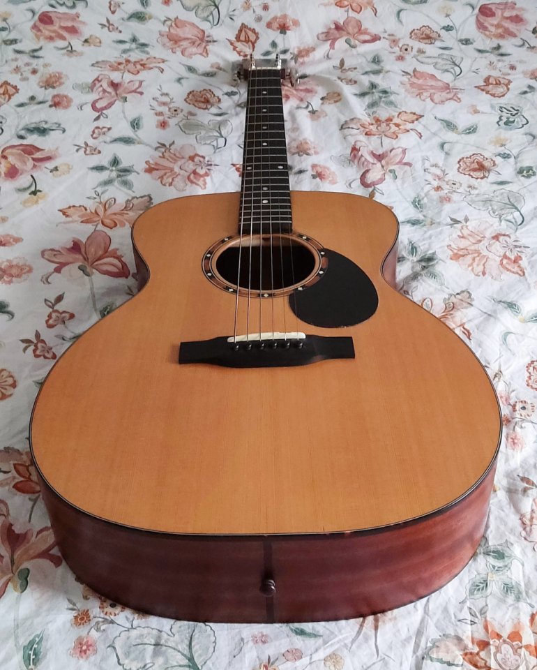 Eastman E2 OM / cambios