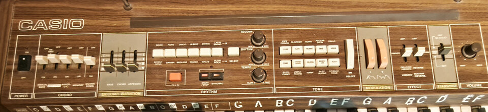Teclado Casio Casiotone 405