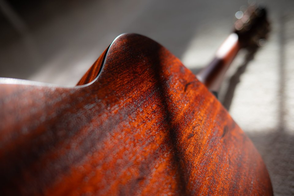 Eastman E2 OM / cambios