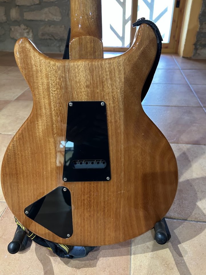 PRS SE Santana SY de segunda mano · Foto 5 de 8 · Lleida · 600 €
