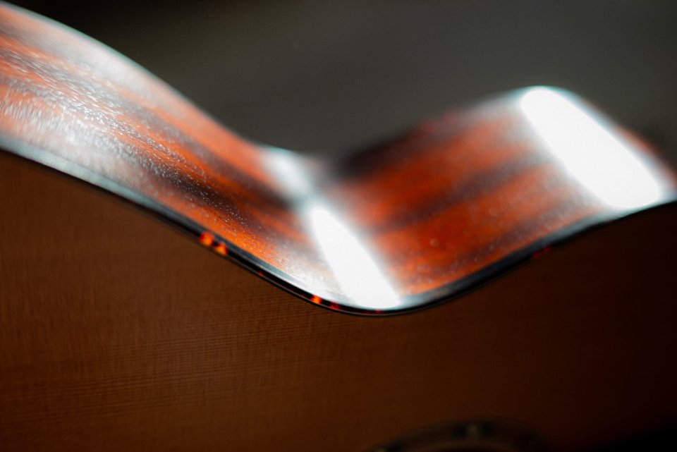 Eastman E2 OM / cambios