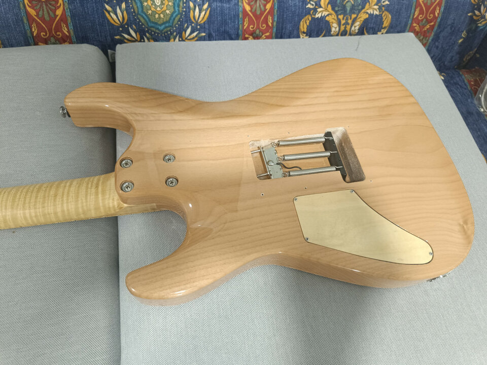 Guitarra de Luthier CAMBIO