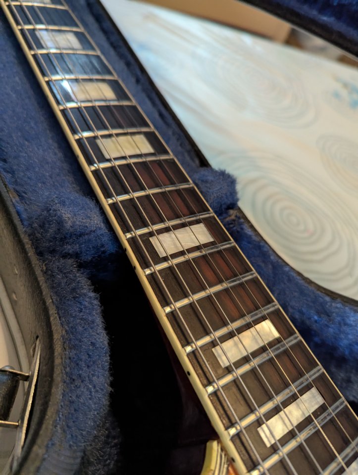 Ibanez PF400.(Cambio por SG)