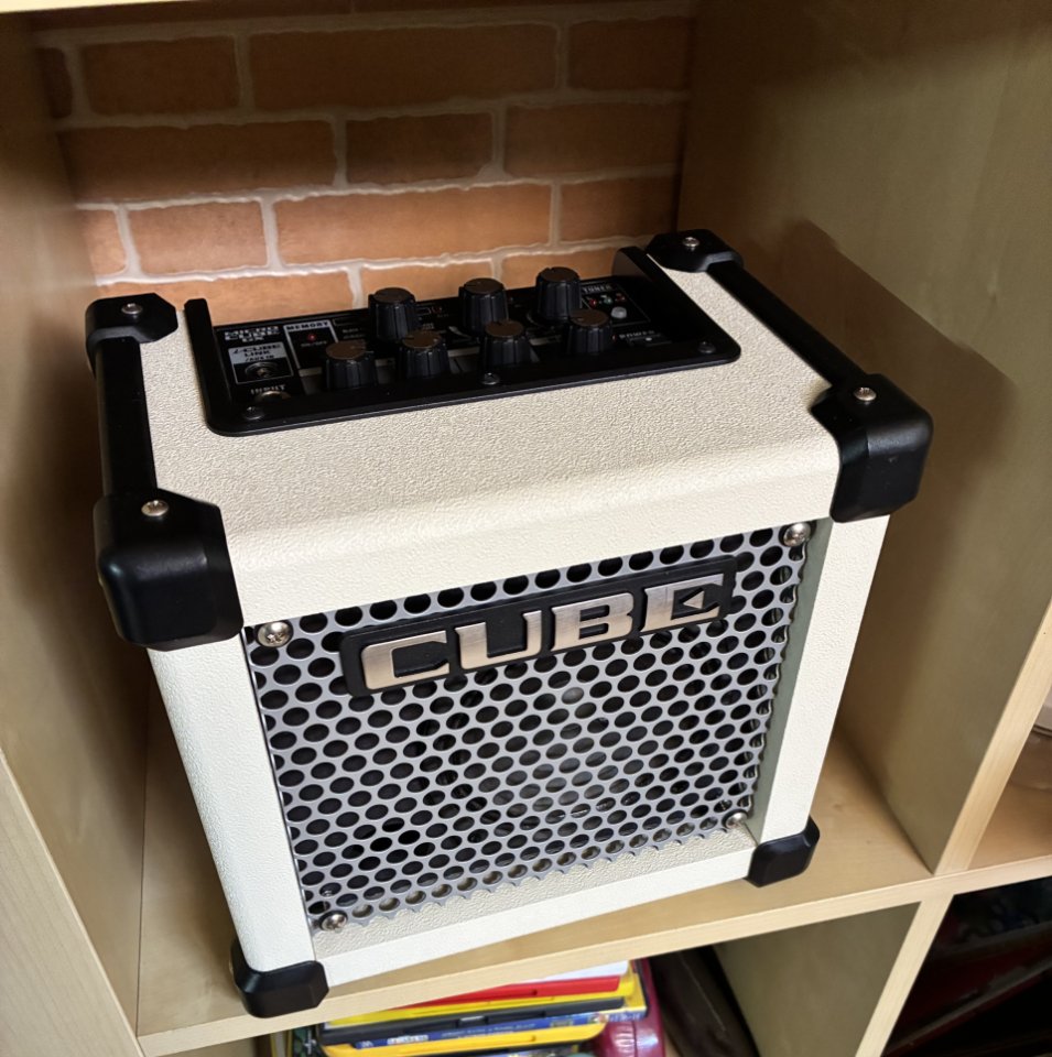 Roland MICRO CUBE GX