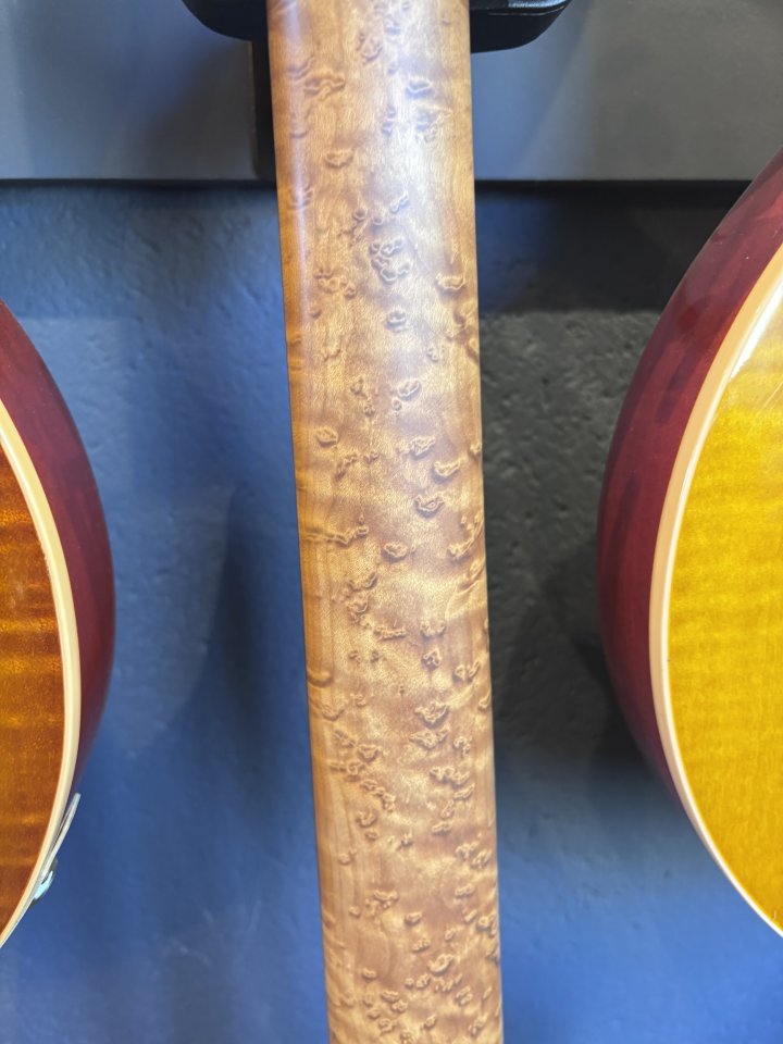 Suhr Custom Modern - Trans Algae Burl Top de segunda mano · Foto 6 de 10 · Pontevedra