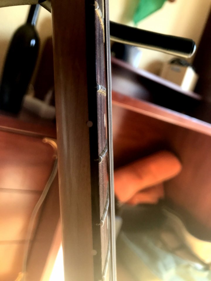 Fender Standard Stratocaster Plus Top (Mex)