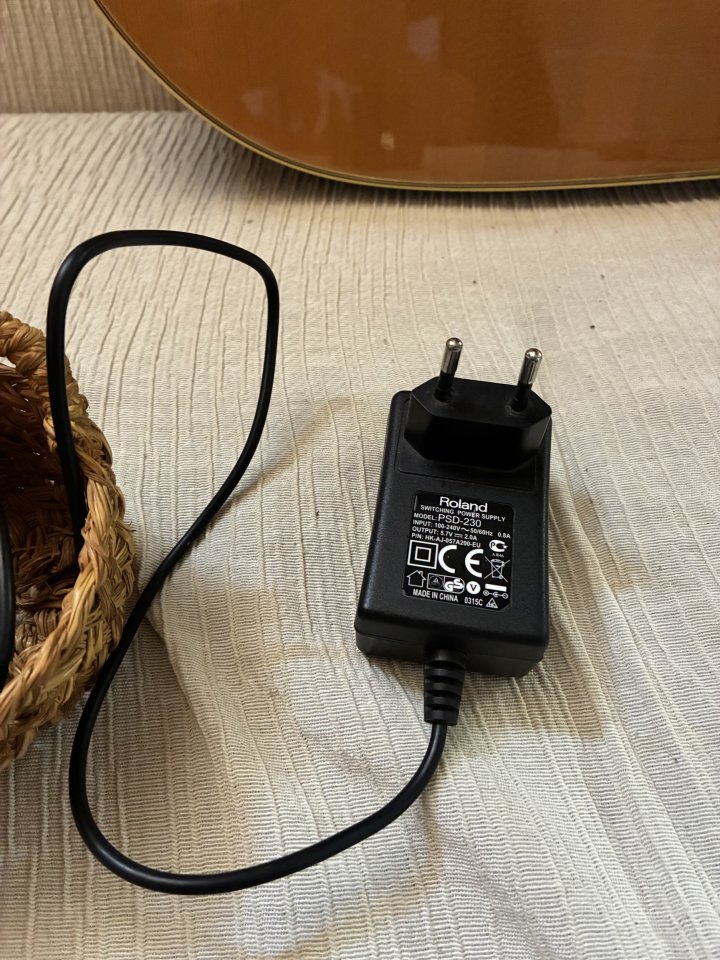 Roland MICRO CUBE GX