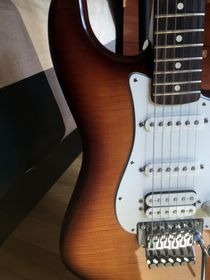 Fender Standard Stratocaster Plus Top (Mex)