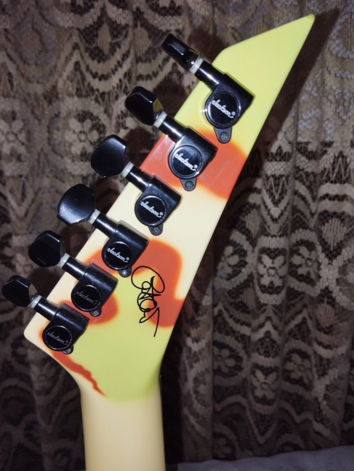 Jackson Dinky "Cow" signature (camo)