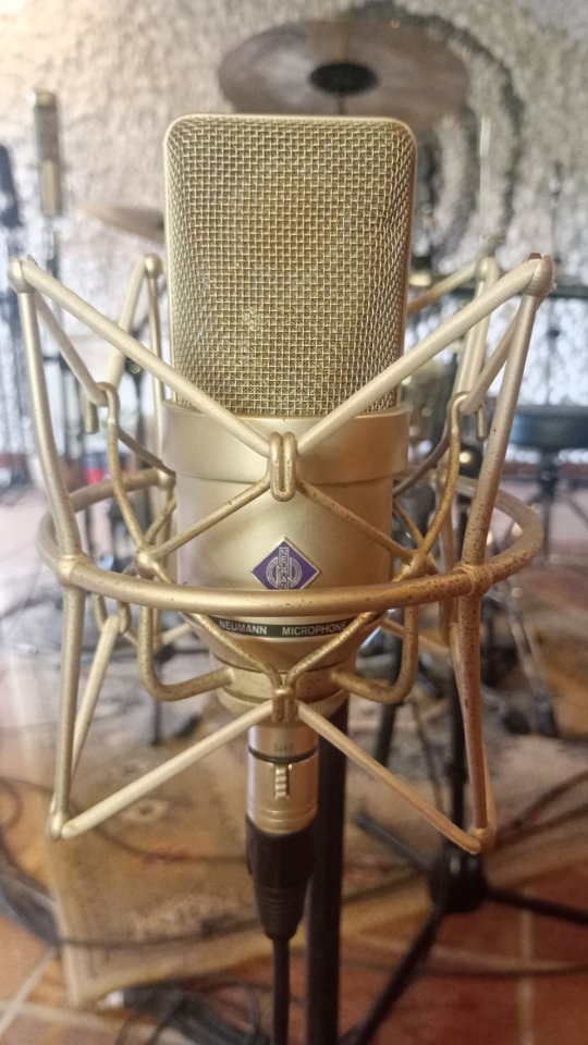 Neumann TLM 170 Vintage