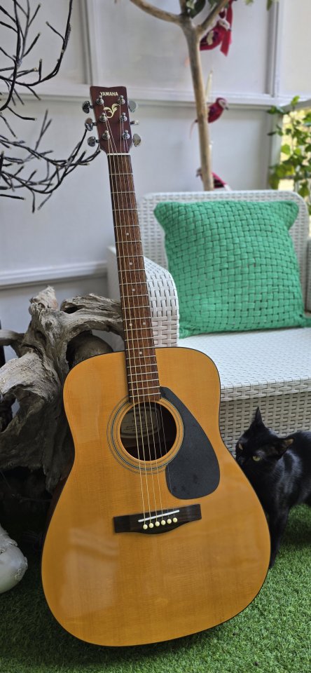 Yamaha Acústica