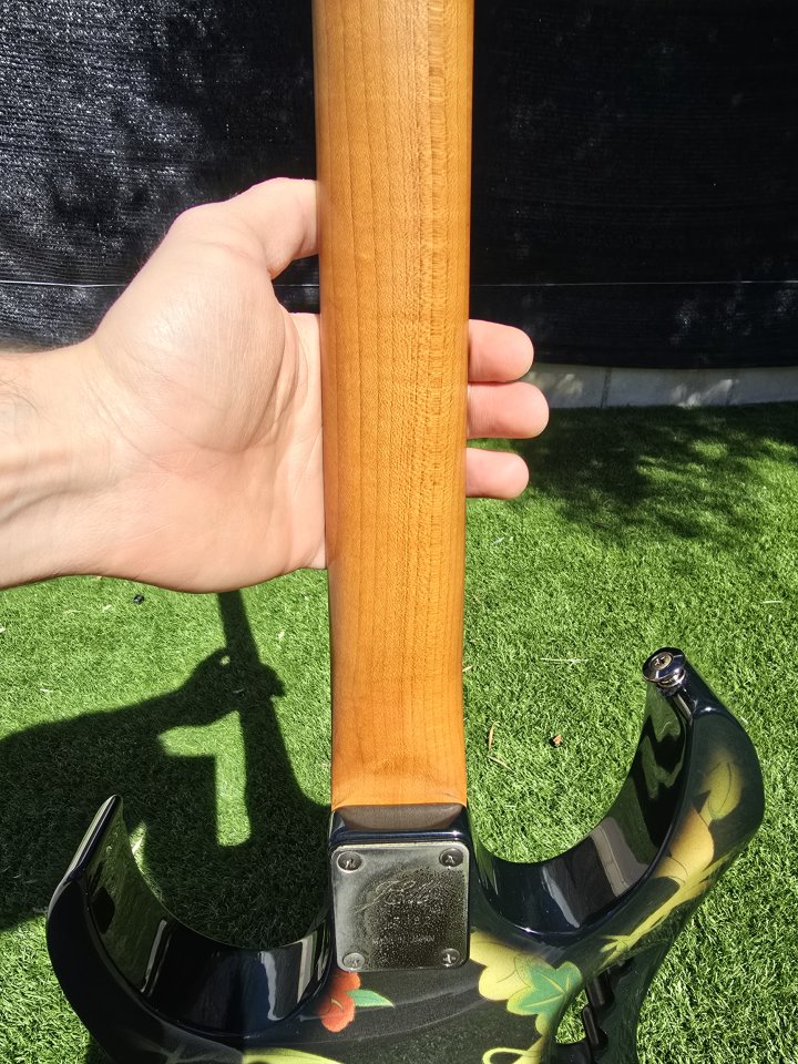 Ibanez jem 77 FP 1991 de segunda mano · Foto 6 de 10 · Madrid · 5000 €