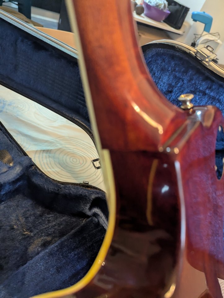 Ibanez PF400.(Cambio por SG)