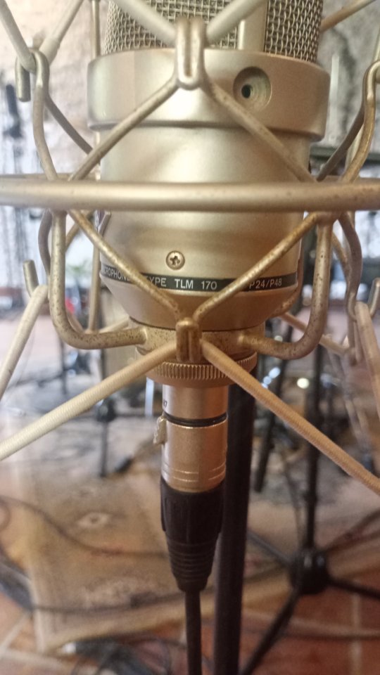 Neumann TLM 170 Vintage