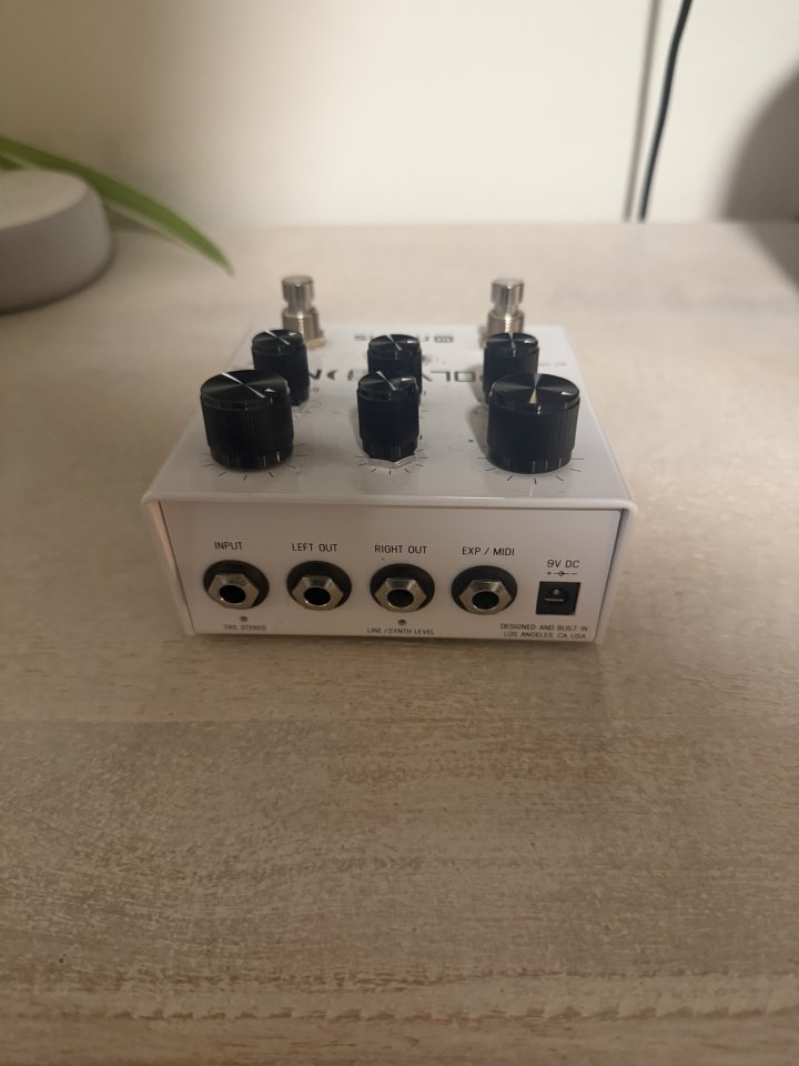 Meris Polymoon + Meris Preset Switch