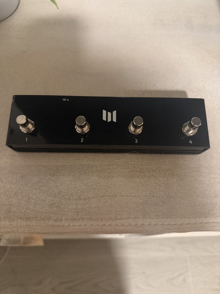 Meris Polymoon + Meris Preset Switch