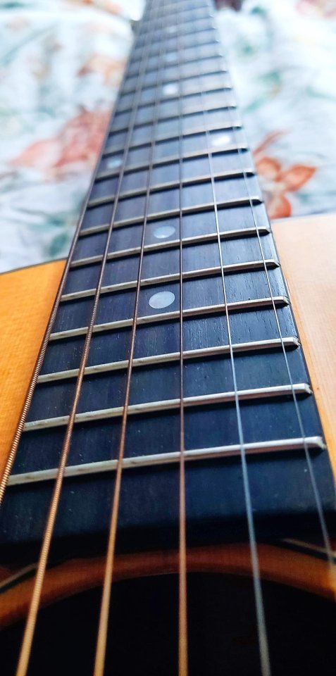 Eastman E2 OM-CD / Cambios