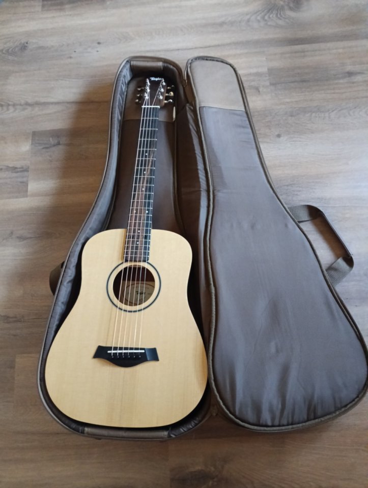 Taylor BT1e de segunda mano · Foto 1 de 2 · Salamanca · 380 €