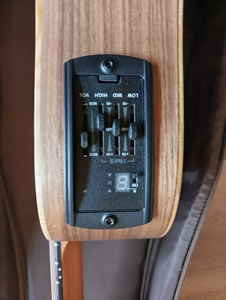 Taylor BT1e de segunda mano · Foto 2 de 2 · Salamanca · 380 €