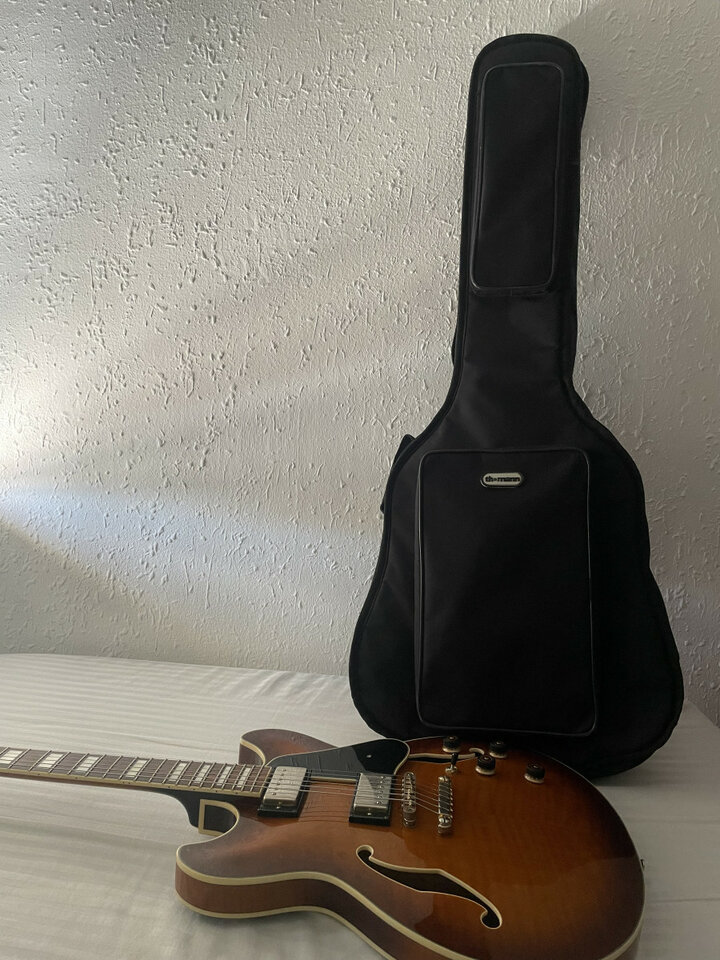 Ibanez artcore as93 VLS