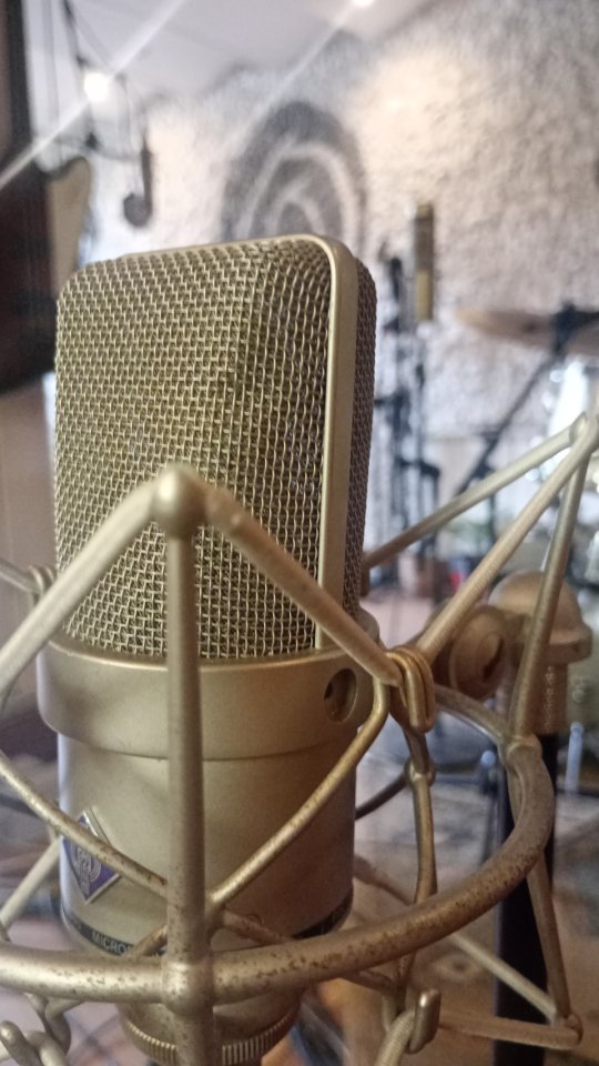Neumann TLM 170 Vintage