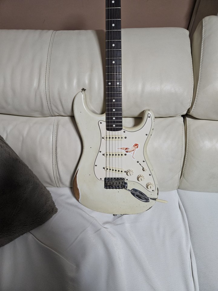 Stratocaster Fender road worm + goldo