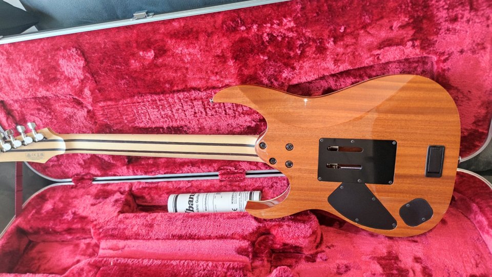 Ibanez RG5440C dfm de segunda mano · Foto 10 de 10 · Badajoz · 1500 €