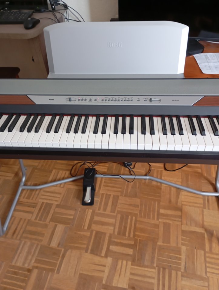 Korg SP 250 de segunda mano · Foto 1 de 3 · Araba · 350 €