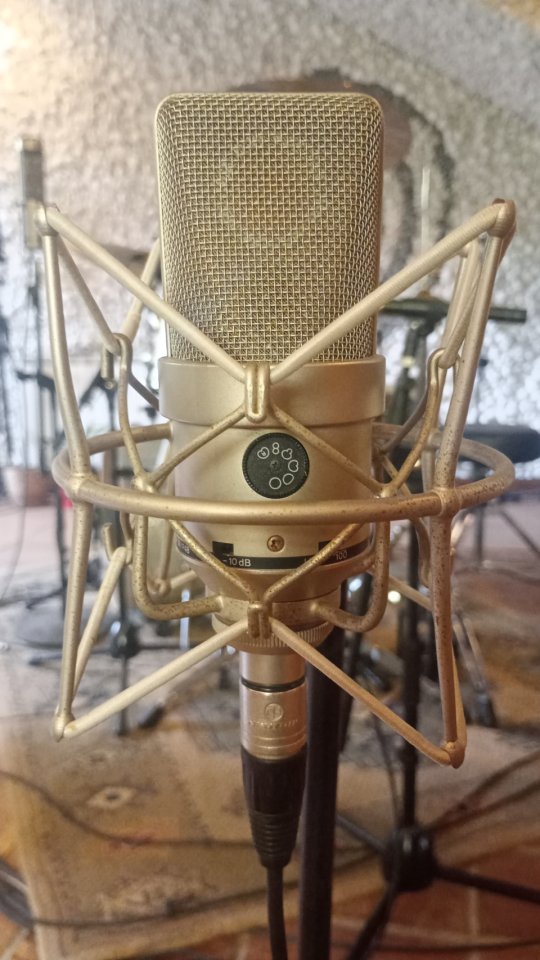 Neumann TLM 170 Vintage