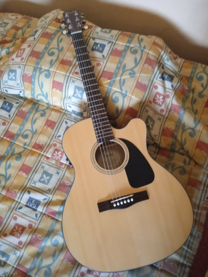 Vendo Fender CF-60 CE