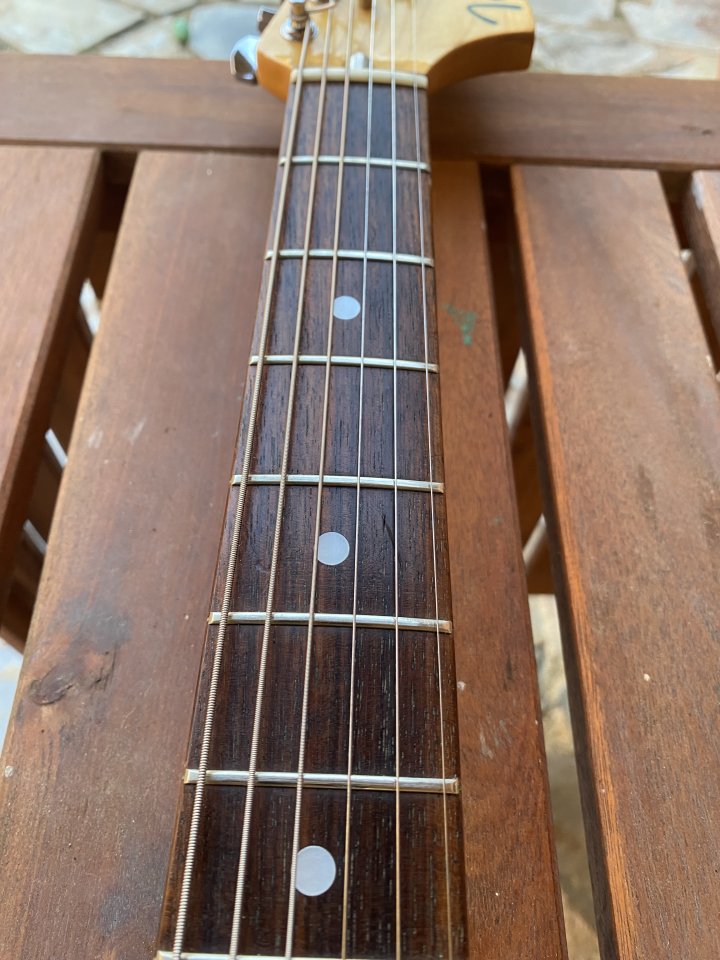 Tokai 1981 posiblemente Brazilian