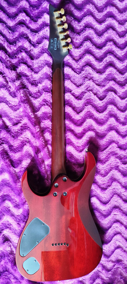 IBANEZ rg 421 mejorada y maleta