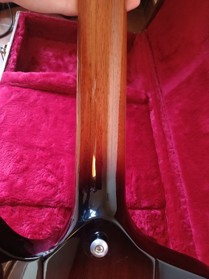 Gibson Firebird 2020