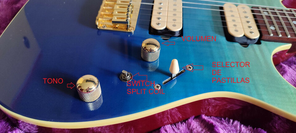 IBANEZ rg 421 mejorada y maleta