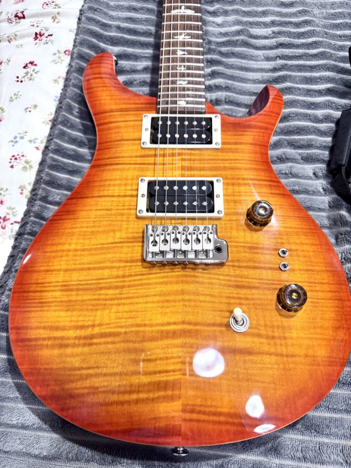 PRS SE CUSTOM 24-08 custom