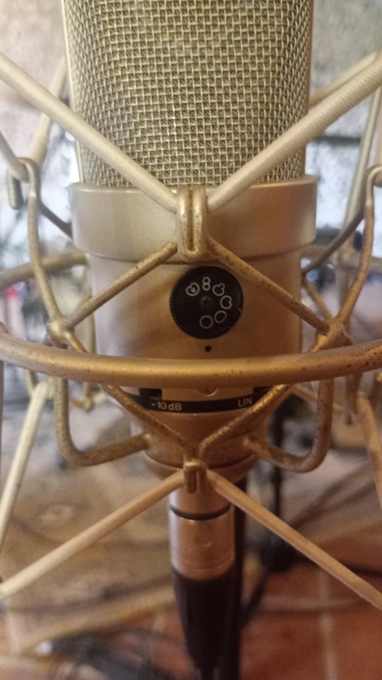 Neumann TLM 170 Vintage