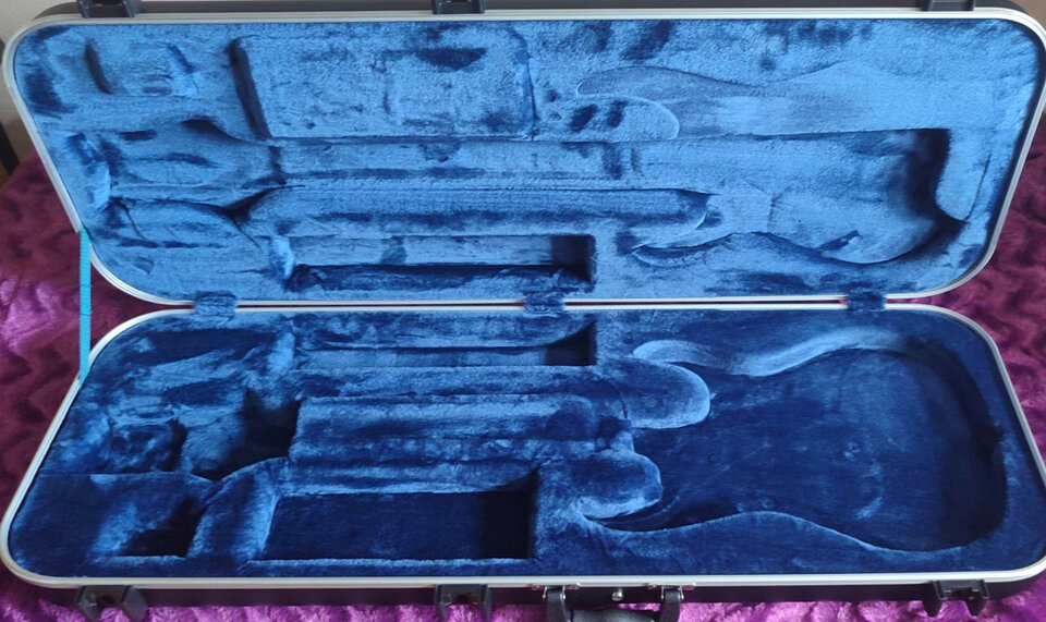 IBANEZ rg 421 mejorada y maleta