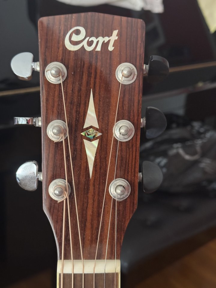 Acustica Cort Earth 100 + Funda Fender de segunda mano · Foto 3 de 5 · Barcelona · 200 €