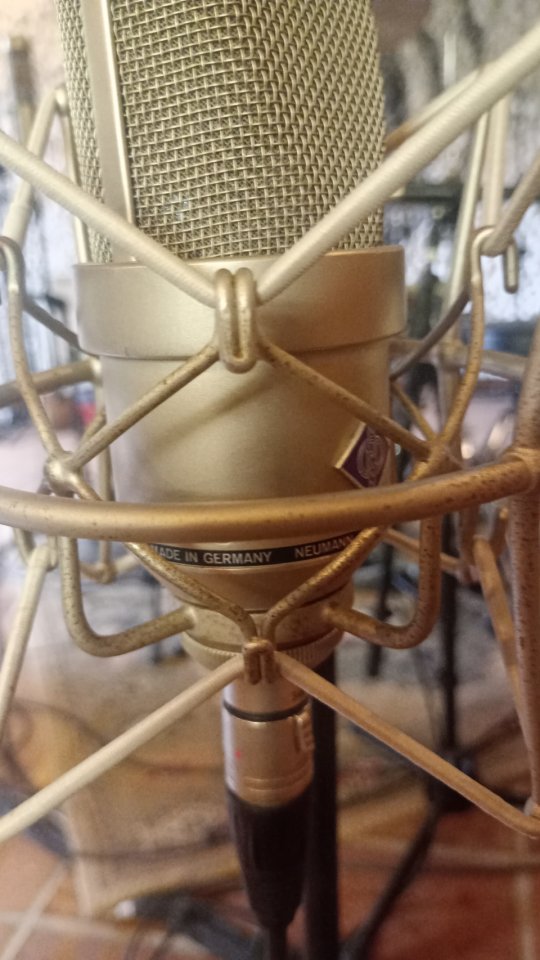 Neumann TLM 170 Vintage