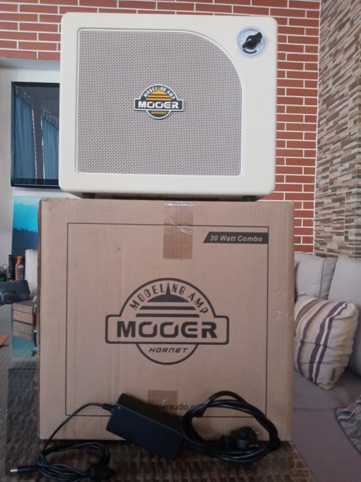 Mooer hornet white 30w modeling amp