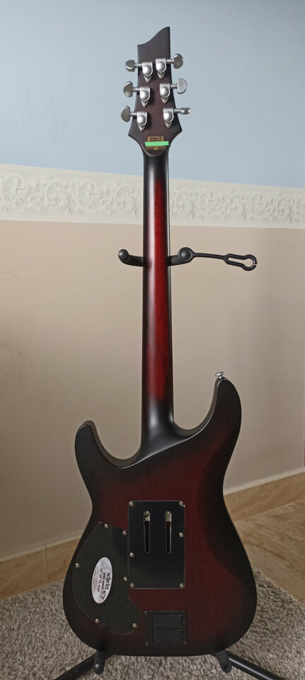 Shecter c-1 fr s platinum Sustainiac