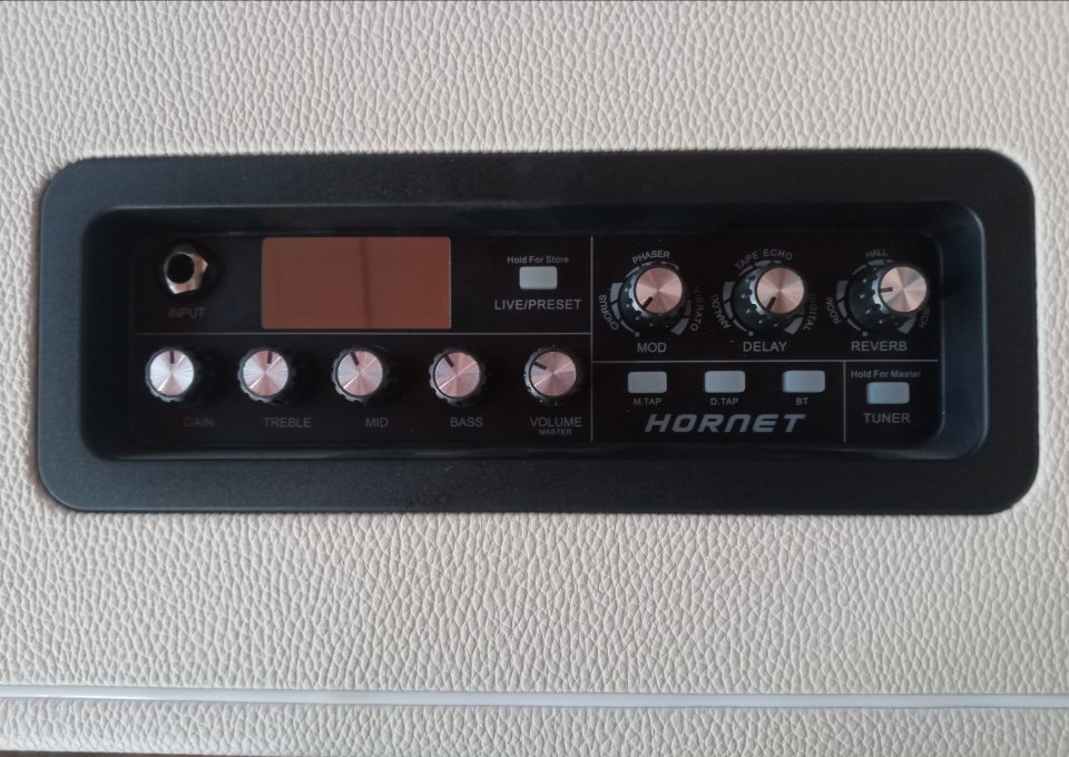 Mooer hornet white 30w modeling amp