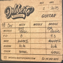 Pastilla Diliberto Classic H 57 Humbucker de segunda mano · Foto 2 de 2 · Málaga · 100 €