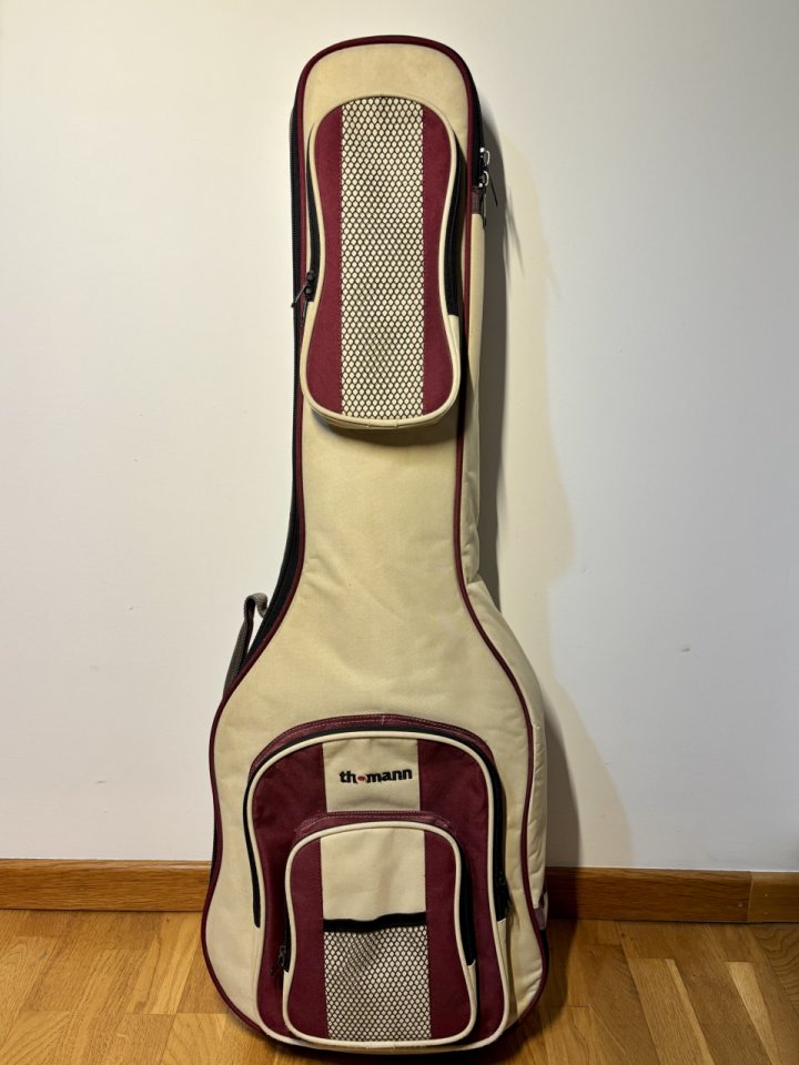 Squier Telecaster Standard