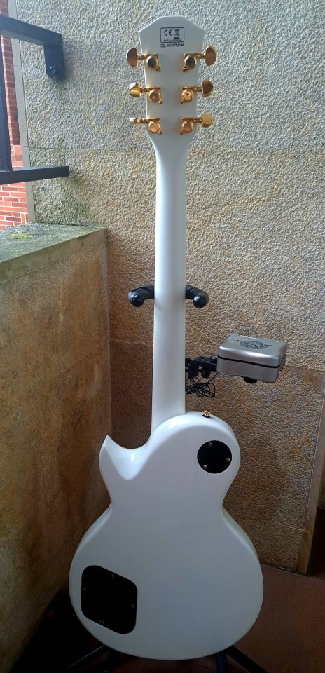 SIRE L7 - Larry Carlton WH + upgrades + funda Gator