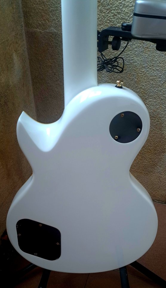 SIRE L7 - Larry Carlton WH + upgrades + funda Gator